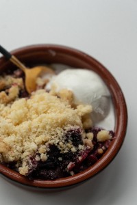 Apple_and_bilberry_crumble-20
