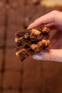 chocolate_and_caramel_brownie_cake-25